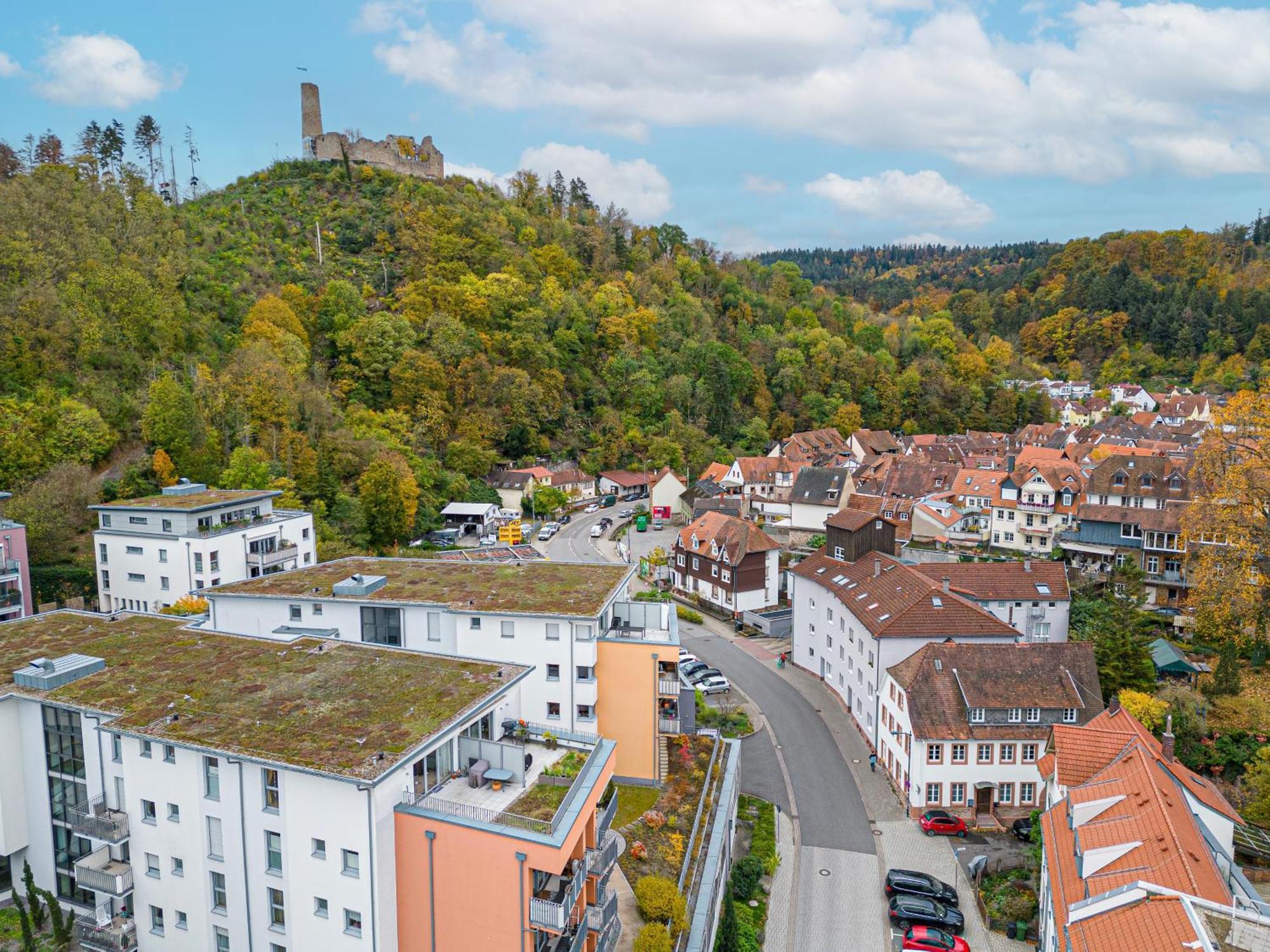 Lit Living Weinheim Altstadt - Boutique Apartments - Parking المظهر الخارجي الصورة